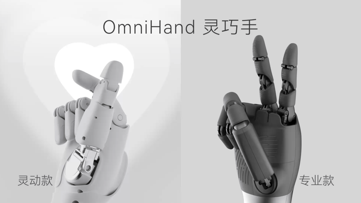 Dexterous Hand: Zhiyuan OmniHand 2025